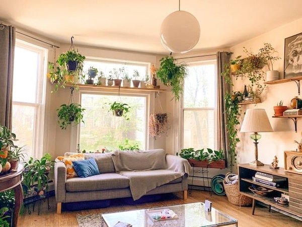 Comment cultiver un jardin intérieur en appartement ?